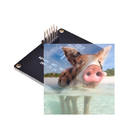 Moduł WiFi do kamery RunCam Split