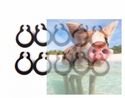 Pierścienie C-Clip do wału silnika 5mm (10szt)