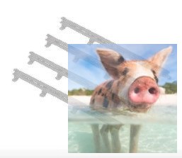 Poręcze (4szt. w zestawie)