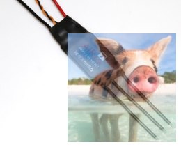 Regulator ESC AIR 40A 2-6S do dron wyścigowych