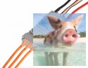 Regulator ESC ALPHA 180A do dron wyścigowych