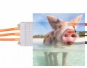 Regulator ESC ALPHA 60A HV 6-12S do dron wyścigowych