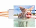 Regulator ESC ALPHA 60A HV 6-12S do dron wyścigowych