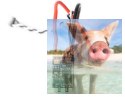 Regulator ESC F30A-4S 30A 2-4S do dron wyścigowych