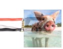 Regulator ESC F30A-4S 30A 2-4S do dron wyścigowych