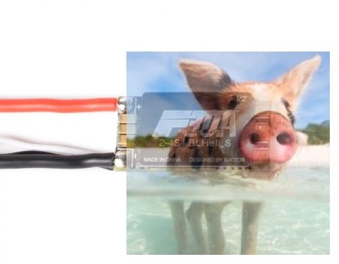 Regulator ESC F30A-4S 30A 2-4S do dron wyścigowych Regulator ESC F30A-4S 30A 2-4S do dron wyścigowych