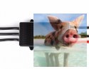 Regulator ESC FLAME 100A HV 6-14S do dron wyścigowych