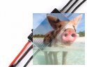 Regulator ESC FLAME 100A HV 6-14S do dron wyścigowych