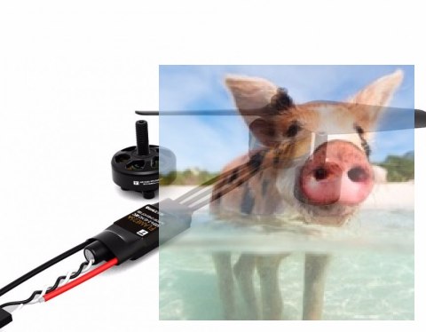 Regulator ESC FLAME 25A 4S do dron wyścigowych Regulator ESC FLAME 25A 4S do dron wyścigowych