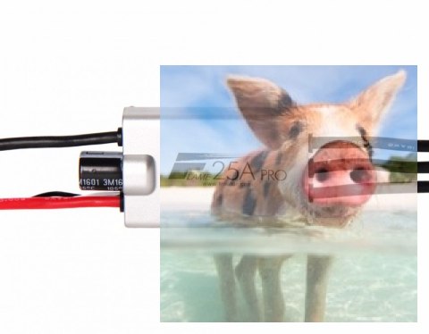 Regulator ESC FLAME 25A PRO 4S do dron wyścigowych