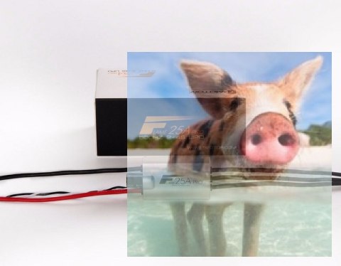 Regulator ESC FLAME 25A PRO 4S do dron wyścigowych