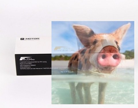 Regulator ESC FLAME 25A PRO 4S do dron wyścigowych