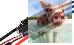 Regulator ESC Flame 80A HV 6-12S UAV