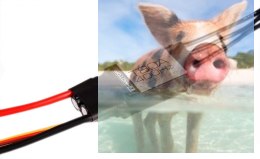 Regulator ESC T80A 2-6S do dron wyścigowych