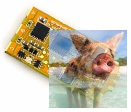 Regulator FrSky ESC32 35A 2-6s LiPo 4.5g