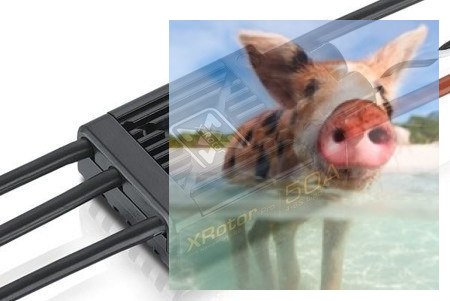 Regulator Hobbywing XRotor Pro 4-6S 50A