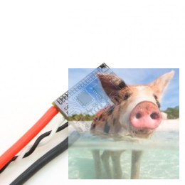 Regulator obrotów Bullet 30A 4S dla wielowirnikowców