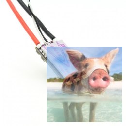 Regulator obrotów Bullet 35A 6S dla wielowirnikowców