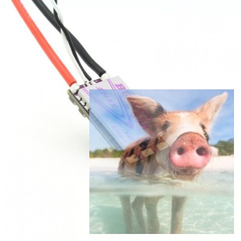 Regulator obrotów Bullet 35A 6S dla wielowirnikowców