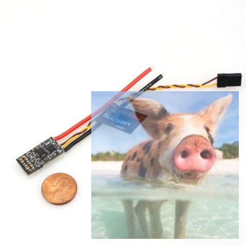 Regulator obrotów Lightning 20A ESC Regulator obrotów Lightning 20A ESC