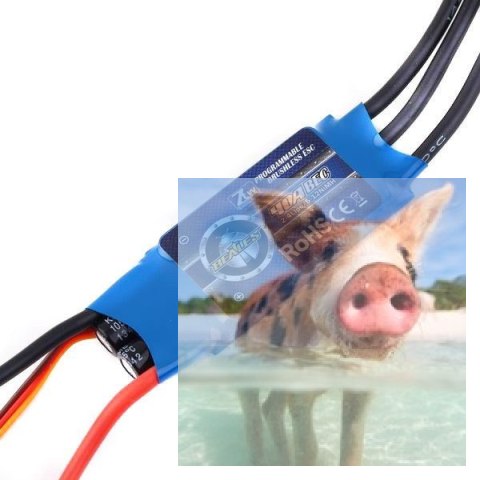 Regulator obrotów ZTW Beatles 40A - BEC 5V 3A Regulator obrotów ZTW Beatles 40A - BEC 5V 3A