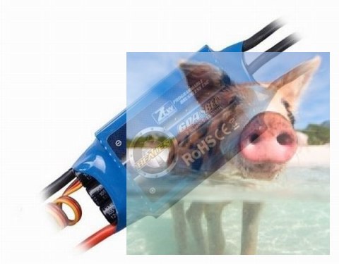 Regulator obrotów ZTW Beatles 60A - SBEC 5.5V 5A