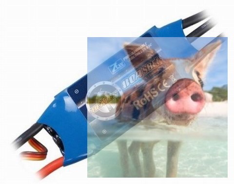 Regulator obrotów ZTW Beatles 80A - SBEC 5.5V 5A