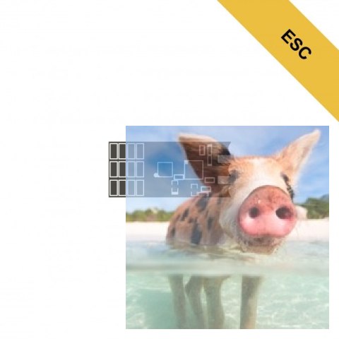 Regulator prędkości FrBLS 30A