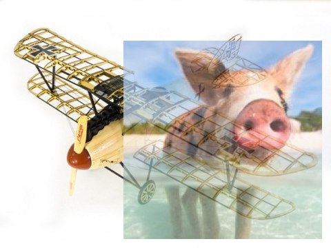 Samolot Albatross KIT Plus