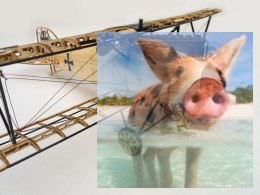 Samolot Albatross KIT Plus