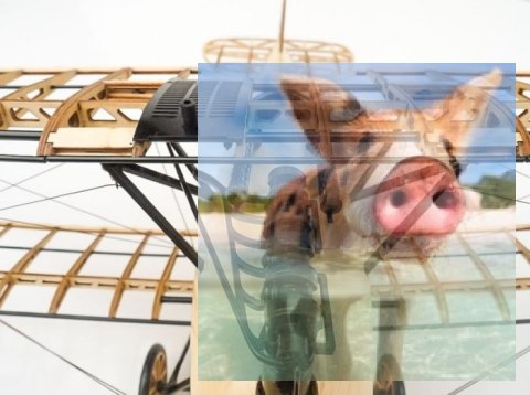 Samolot Albatross KIT Plus