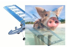 Samolot CUCKOO Balsa KIT (580mm)