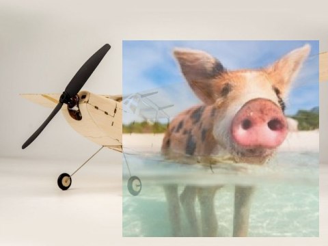 Samolot Micro Cessna L-19 KIT