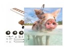 Samolot T-40 Treningowy Balsa Kit (rozpiętość 1620mm) + Motor + ESC + Serwo