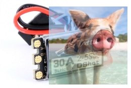 TATTU BLHeli_S 30A Esc (2-5S, w/Dshot, No BEC)