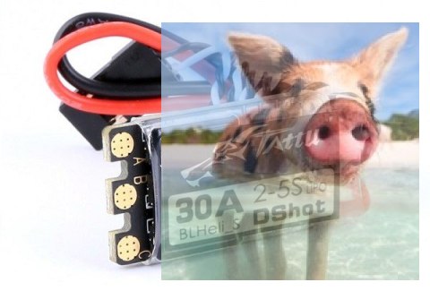 TATTU BLHeli_S 30A Esc (2-5S, w/Dshot, No BEC) TATTU BLHeli_S 30A Esc (2-5S, w/Dshot, No BEC)