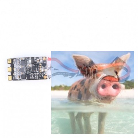 TATTU BLHeli_S 30A Esc (2-5S, w/Dshot, No BEC) TATTU BLHeli_S 30A Esc (2-5S, w/Dshot, No BEC)
