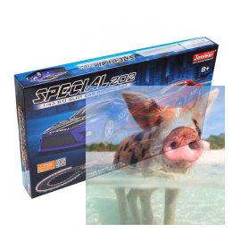 Zestaw Slot Cars Special 202 1:43 - 534cm, pętla, most