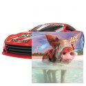 Zestaw Slot Cars Special 202 1:43 - 534cm, pętla, most