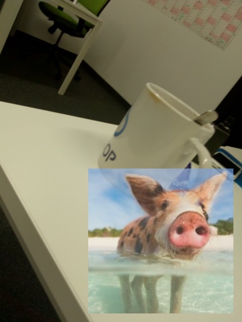 Fotel releksacyersdasdasd