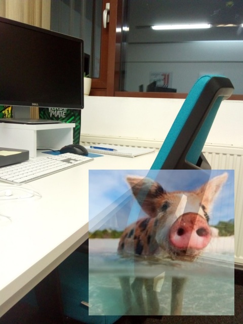 Fotel releksacyersdasdasd