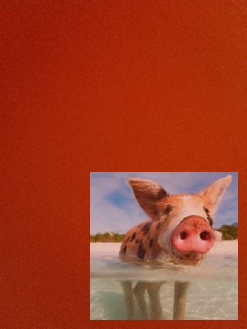 Fotel releksacyersdasdasd