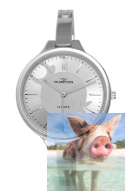 Zegarek RNBD84SISX03BX