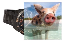 Zegarek RNDD81BMBX10BX