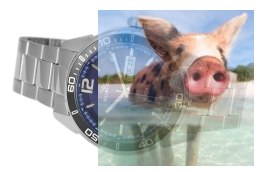 Zegarek RNDD81SMDX10BX