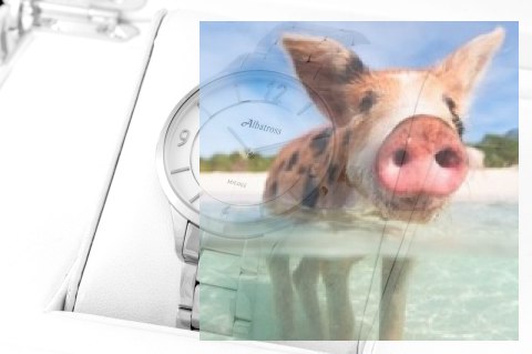 Zegarek damski ABBC02SMSX03BX