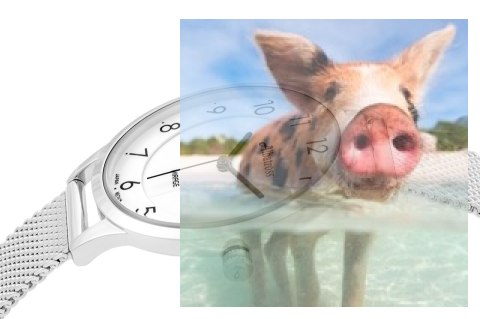 Zegarek damski ABBC03SAWX03BX