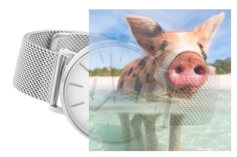 Zegarek damski ABBC12SISX03BX