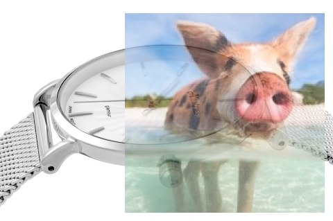 Zegarek damski ABBC12SISX03BX