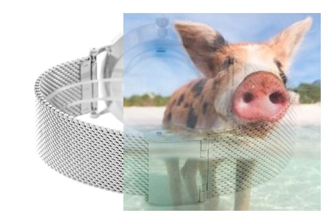 Zegarek damski ABBC12SISX03BX